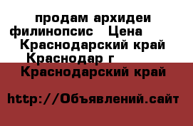 продам архидеи филинопсис › Цена ­ 400 - Краснодарский край, Краснодар г.  »    . Краснодарский край